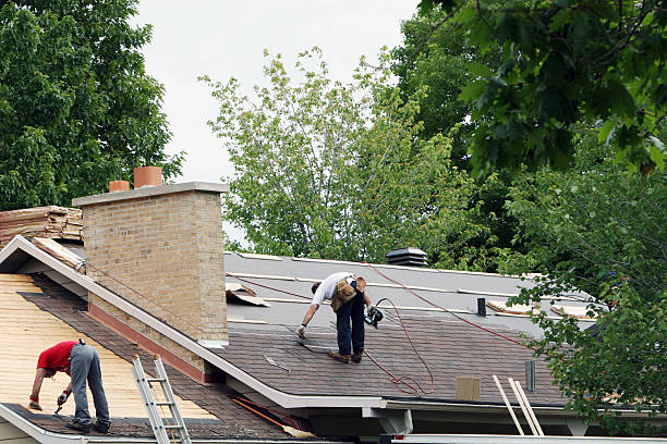 Best Roof Gutter Cleaning  in Millersville, TN